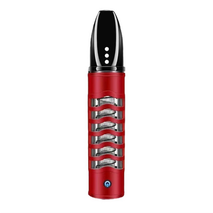 Car Burn-tray With Lighter